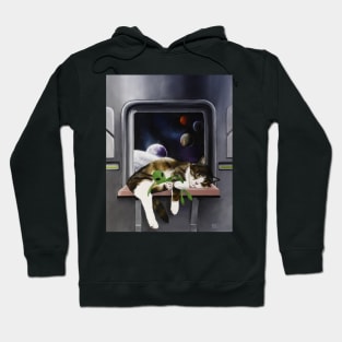 Spaceship Cat Hoodie